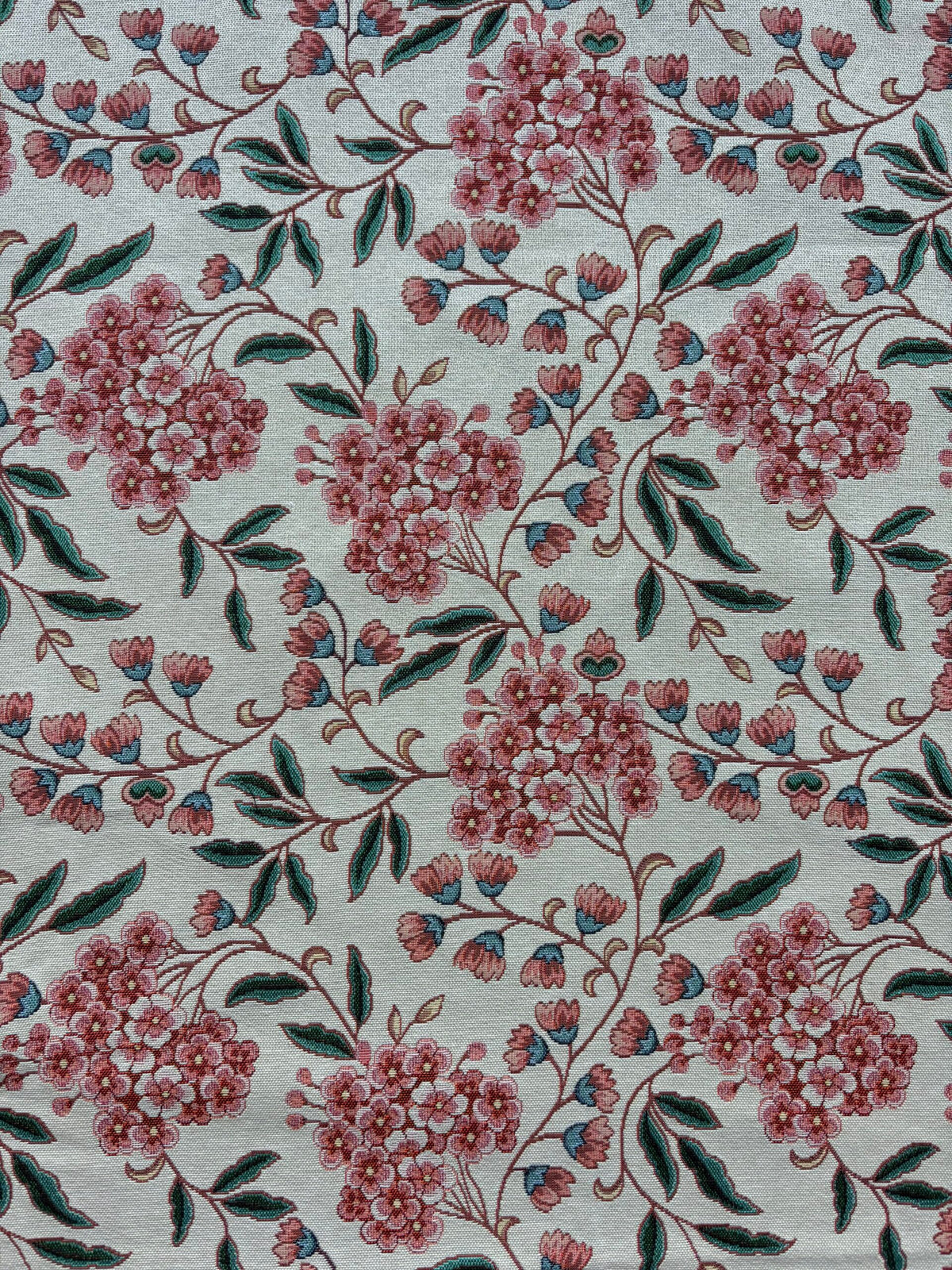 Gobelin Coral Garden