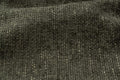 Legacy 10 Olive