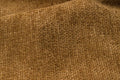 Legacy 7 Mustard